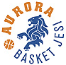 https://img.hyybsb.com/img/basketball/team/a77950f390405e3042f9691c09d63251.gif