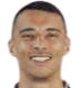 https://img.hyybsb.com/img/football/player/2788f85f521614883c3b000e62cf6f62.png