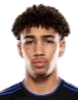 https://img.hyybsb.com/img/football/player/fb7fd3390bdc25307ce54843fe6472dd.png