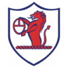 https://img.hyybsb.com/img/football/team/11fb72f7b5eacfc881ee11bac75871fa.png