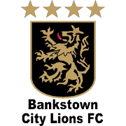 https://img.hyybsb.com/img/football/team/20370d670cbbe00dffc91b4497cd2342.png