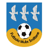 https://img.hyybsb.com/img/football/team/259a1106a33b56d2bb3c458a62ffa2ea.png