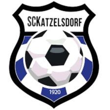 https://img.hyybsb.com/img/football/team/cac3c203e1101a3b26a137404bf1291a.png